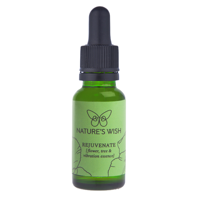 リジュビネイト　Rejuvenate Flower, Tree and Vibration Essence「エネルギーの再生」