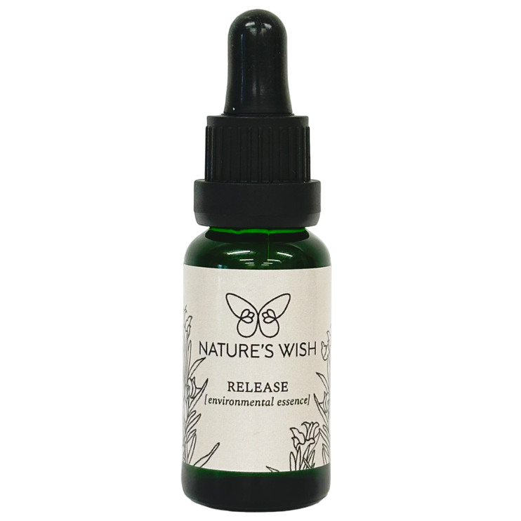 リリース　Release Environmental Essence「思い込みからの開放」