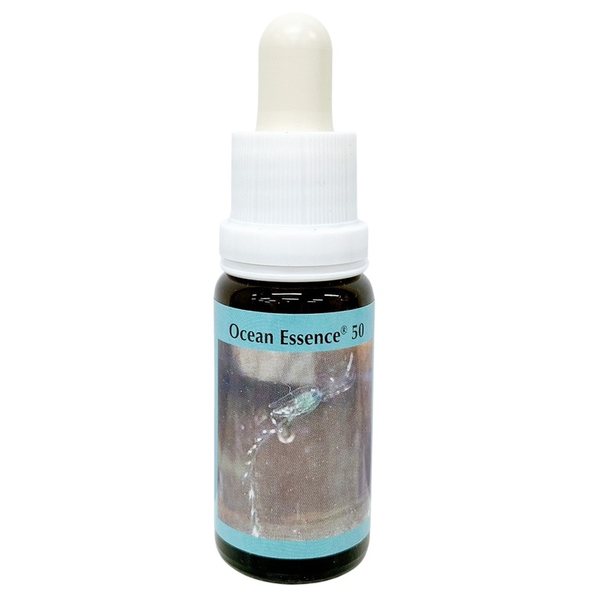 ディーエヌエー64[DNA 64]#59 | ブランド一覧,アンジェリック