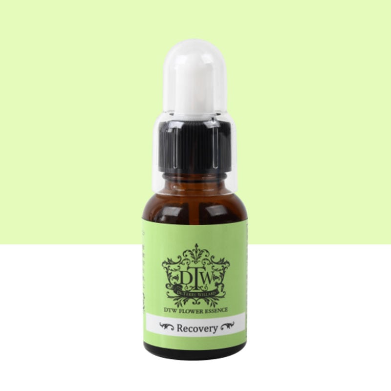 リカバリー(Recovery)