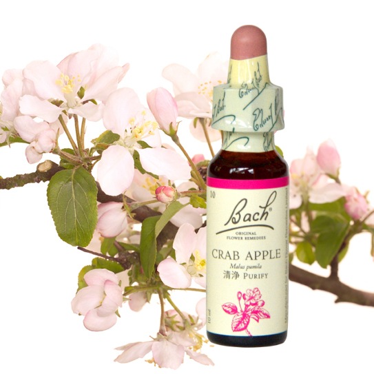 クラブアップル[Crab Apple]