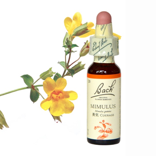 エインズワース バッチフラワーエッセンス10ml 40本キット | ブランド