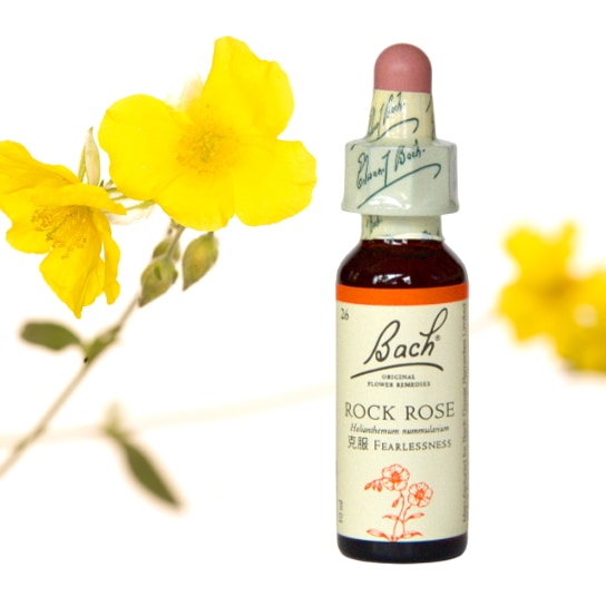 イルカ(デルフ)スプレー[DelphSpray](50ml) | ブランド一覧,PHI