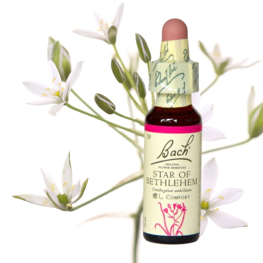 シルバーソード[Silver Sword](15ml) | ブランド一覧,パワーオブ