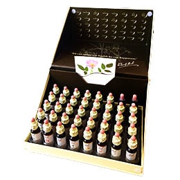 エインズワース バッチフラワーエッセンス10ml 40本キット | ブランド