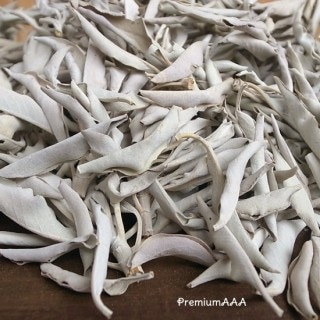 ホワイトセージルーズリーフタイプ[343C]