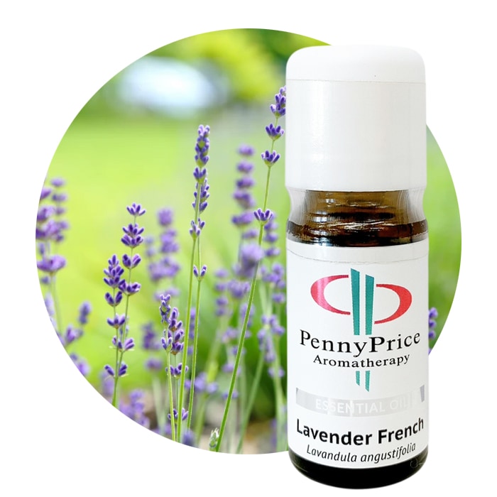 真正ラベンダー[Lavender True]