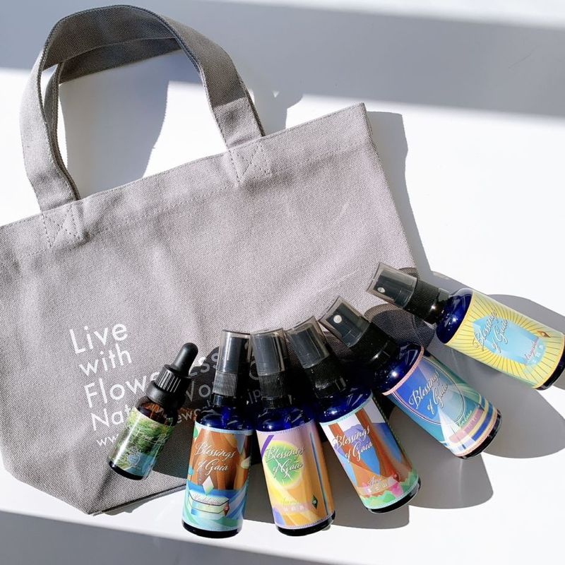 ファシネーション(Fascination) | ブランド一覧,DTWフラワーエッセンス