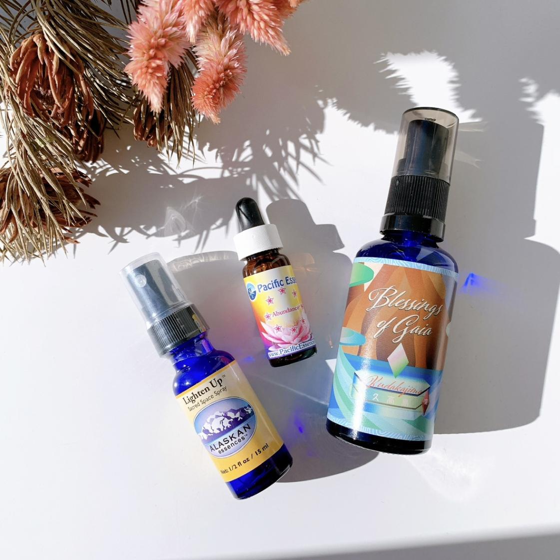 all_items | NATURE WORLD