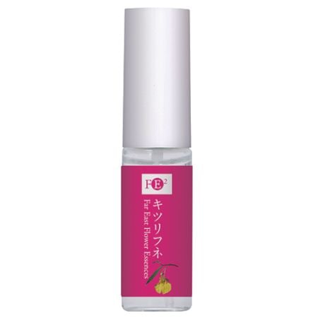 ディープマジェンタオピウムポピー[Deep Magenta Opium Poppy