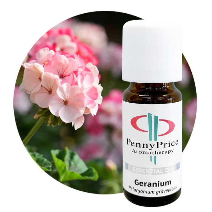 ゼラニウム[Geranium]