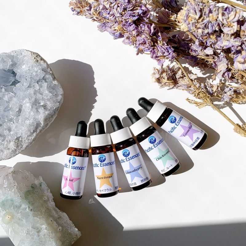 エケネイシャ7.5ml[Echinacea] | ブランド一覧,FESフラワーエッセンス
