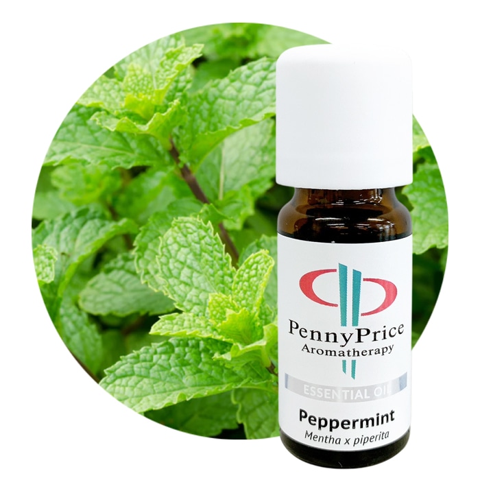 ペパーミント[Pepperint]