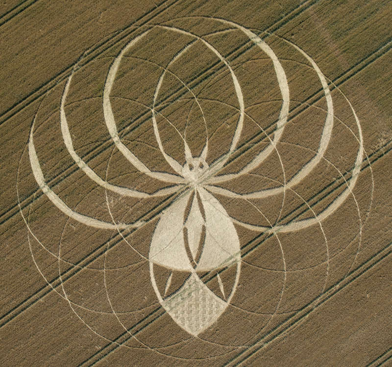 249 Alien Spider, Cerne Abbas Dorset, UK 2025 | ブランド一覧,PHI