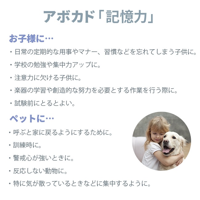 アボカド[Avocado]『記憶力』