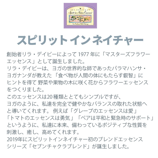 アボカド[Avocado]『記憶力』