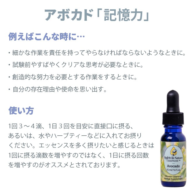 アボカド[Avocado]『記憶力』