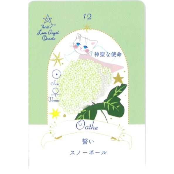 hosi7ラブエンジェルオラクル