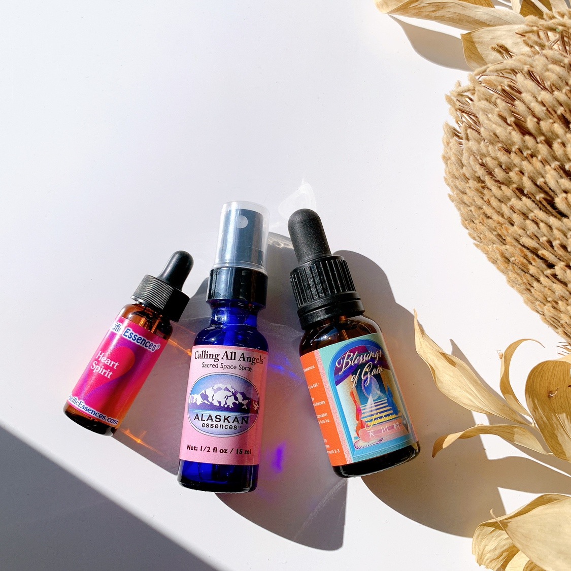 SET1:女性性を高める