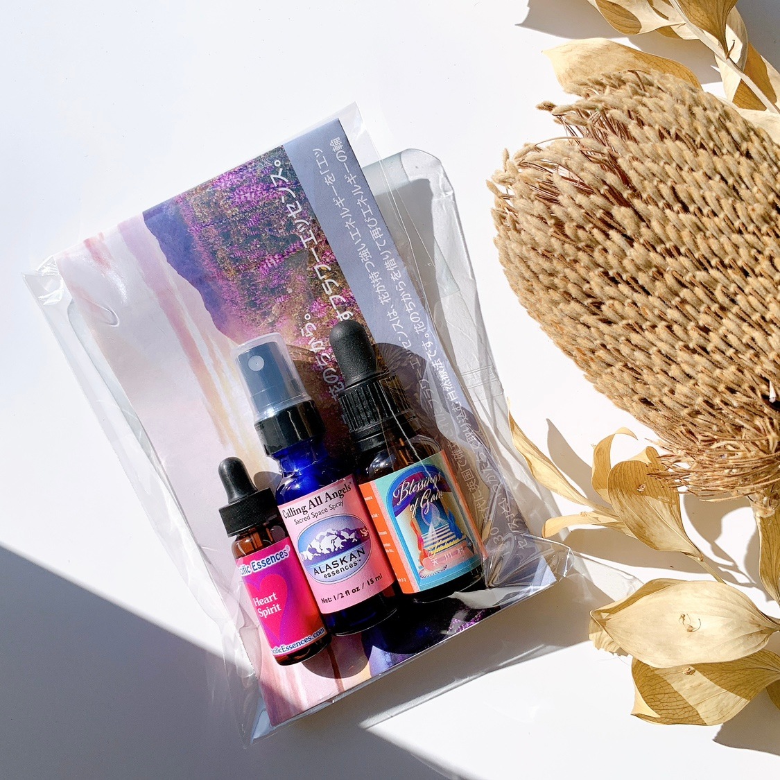 SET1:女性性を高める