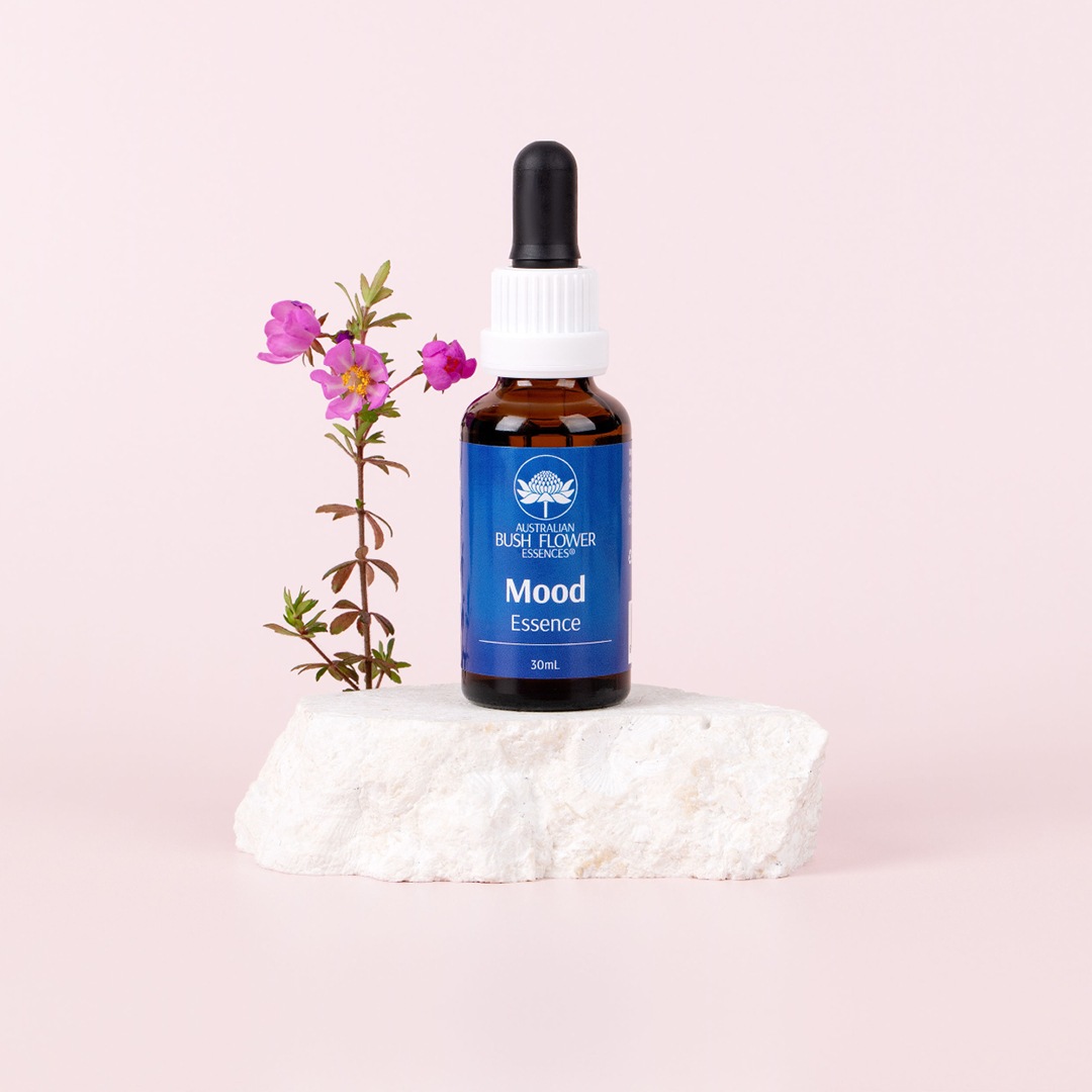 ムード [Mood] 『気分、喜び』