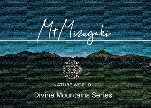 瑞牆山エッセンス［Mt. Mizugaki] 『何度でもリスタート』