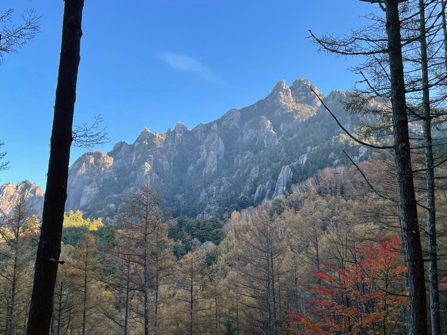 瑞牆山エッセンス［Mt. Mizugaki] 『何度でもリスタート』