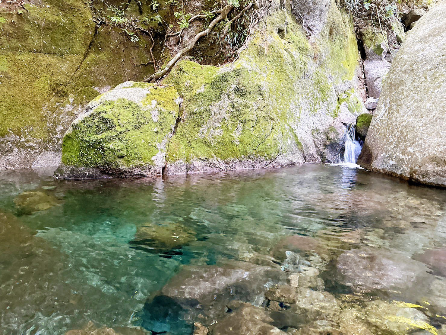 西部林道エッセンス［SEIBU Forest Path]『輝きはあなたから』