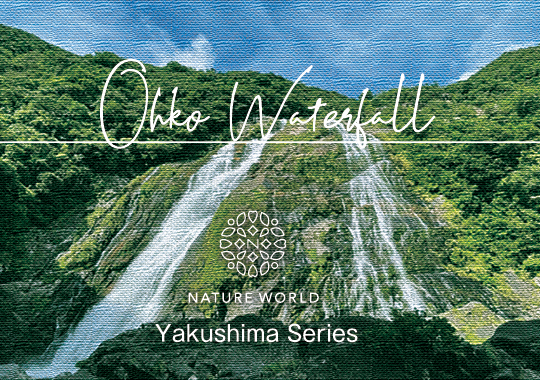 大川の滝エッセンス［OHKO Waterfall]『自分との再会』