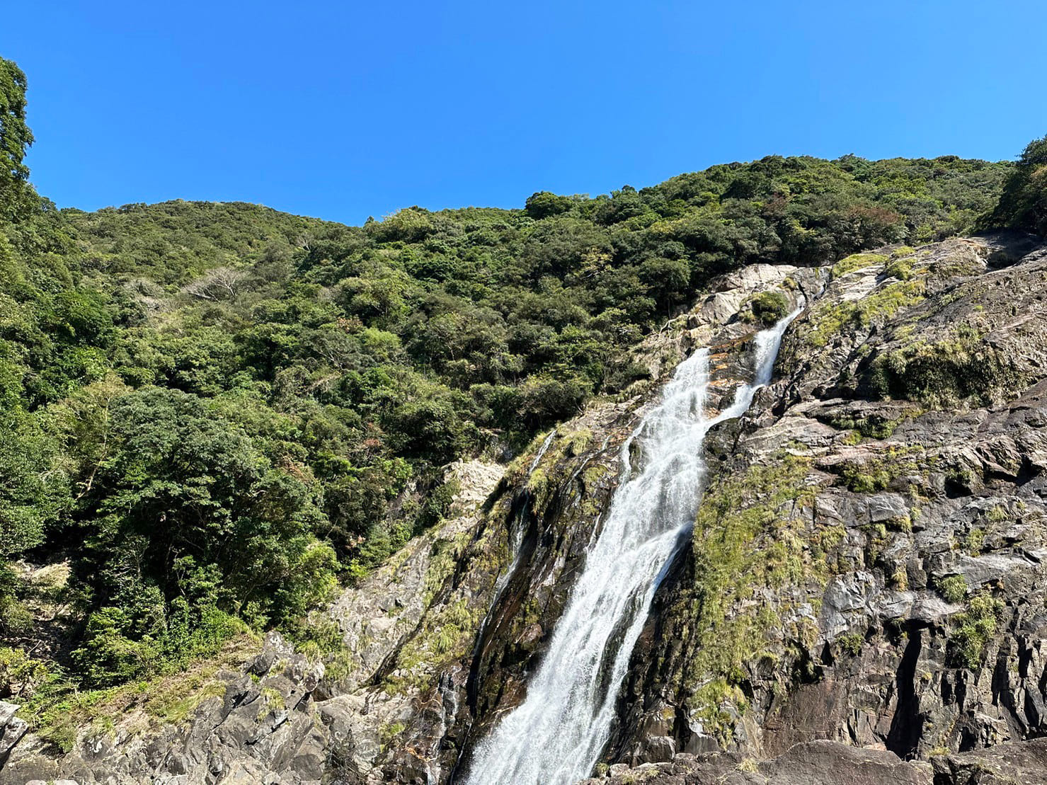 大川の滝エッセンス［OHKO Waterfall]『自分との再会』