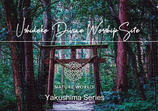 牛床詣所エッセンス［USHIDOKO Divine Worship Site]『安らぎのはじまり』