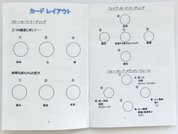 ドルフィンカード(日本語説明書付)