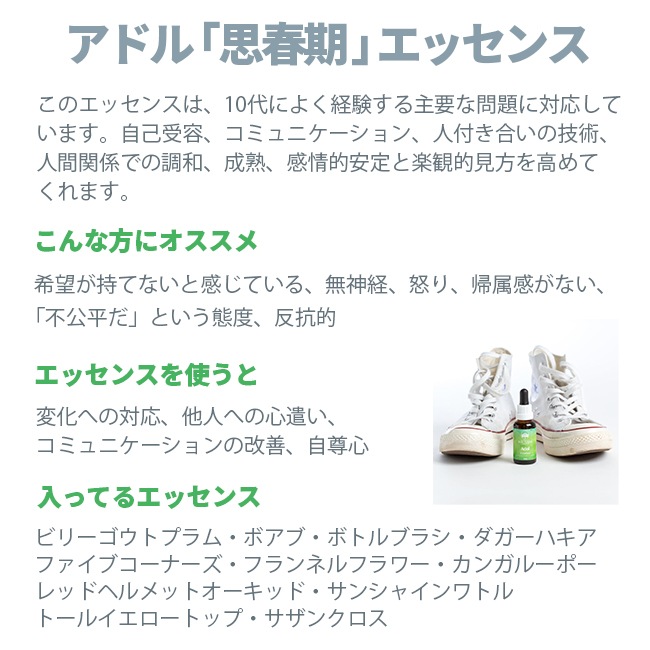 アドル[Adol]『思春期』