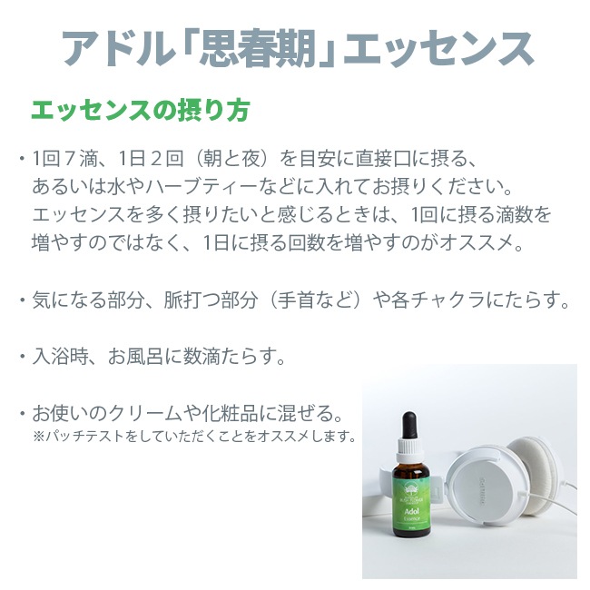 アドル[Adol]『思春期』