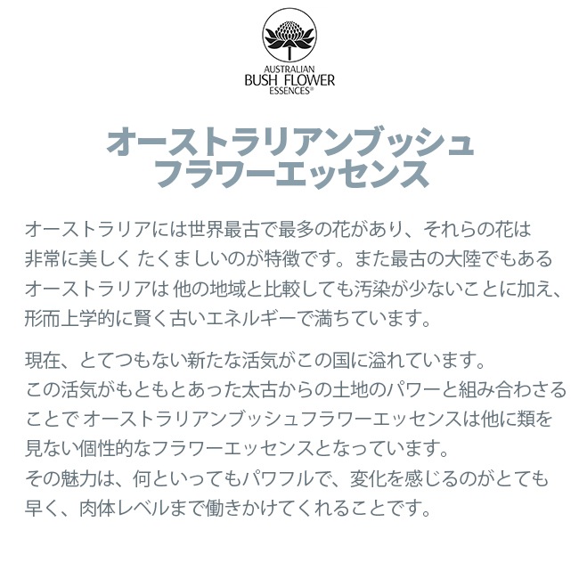 アドル[Adol]『思春期』