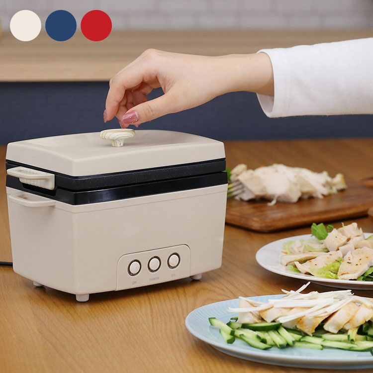 PRISMATE プリズメイト サラダチキンメーカー (レシピブック付) mbm-0576