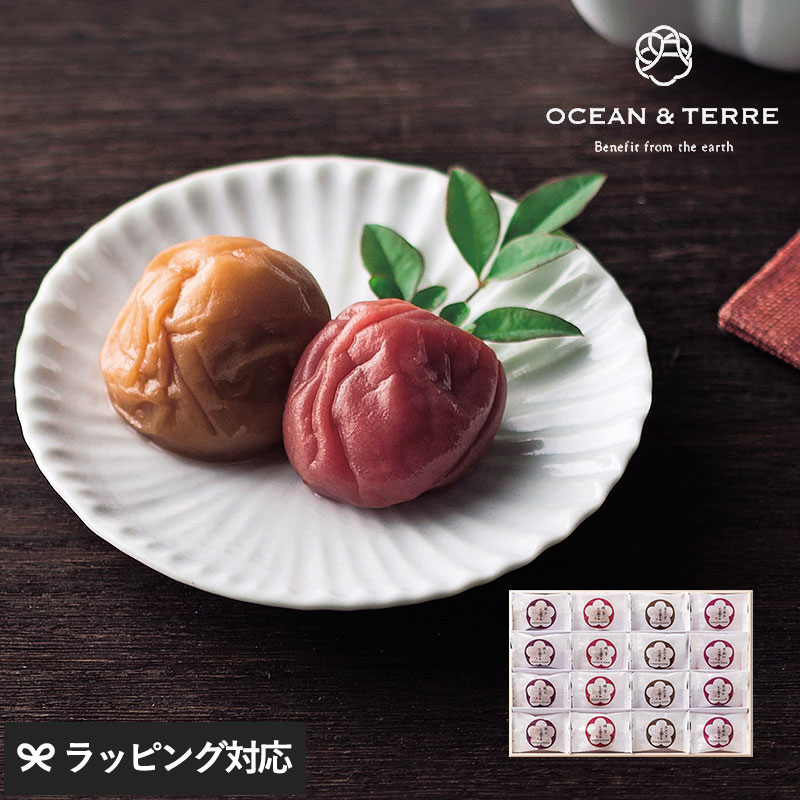 OCEAN ＆ TERRE Premium 紀州南高梅 16粒 木箱入り NR-03031 梅干し贈り物/おしゃれ/甘いもの以外/親戚 上司/内祝い 引き出物/お礼 お返し/母の日 2026 プレゼント ギフト 花以外 実用的 メッセージカード/