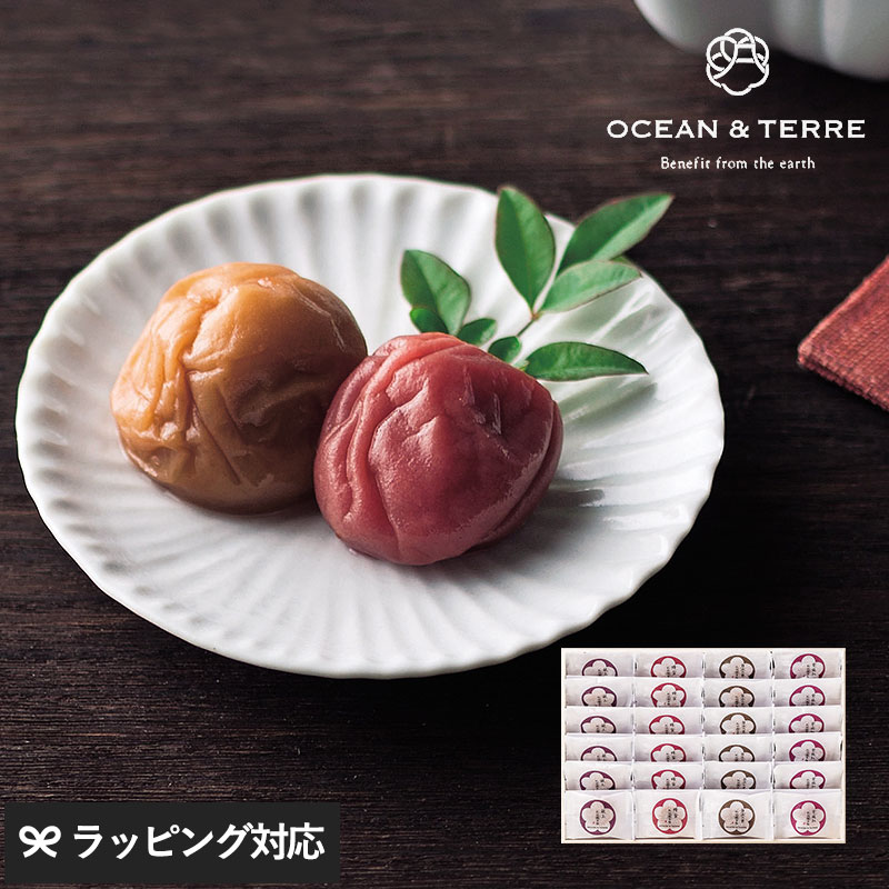 OCEAN ＆ TERRE Premium 紀州南高梅 24粒 木箱入り NR-03032 梅干し贈り物/おしゃれ/甘いもの以外/親戚 上司/内祝い 引き出物/お礼 お返し/母の日 2026 プレゼント ギフト 花以外 実用的 メッセージカード/