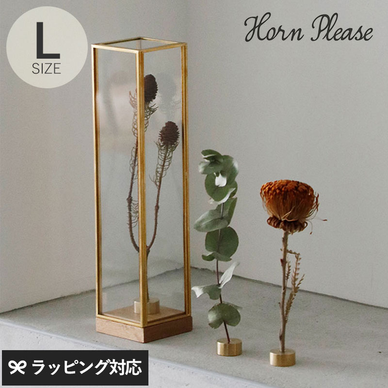 Horn Please ホーン プリーズ BRASSフレーム ディスプレイボックス トール L GA-18667