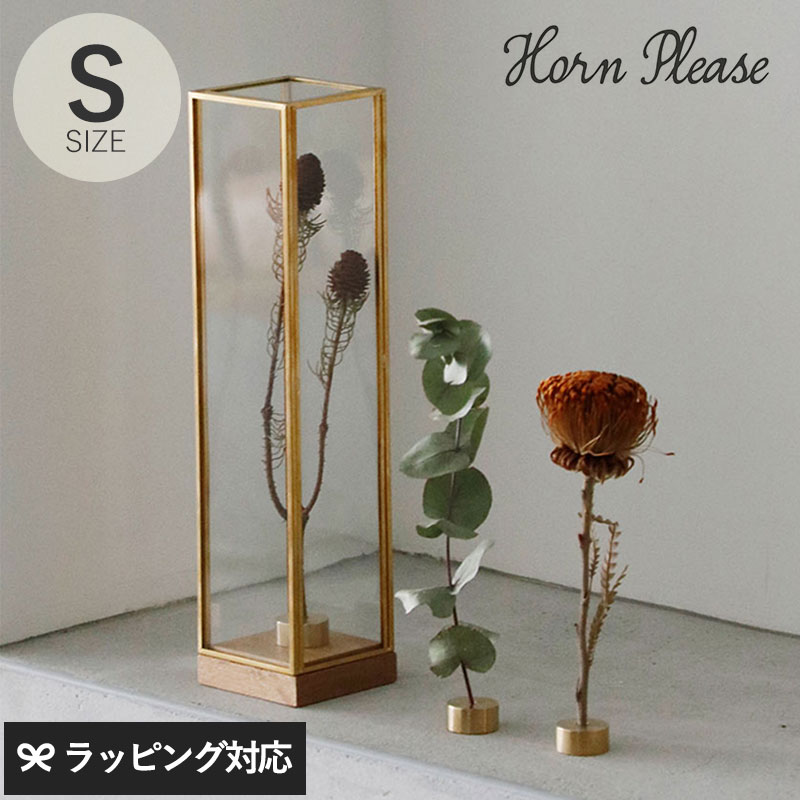 Horn Please ホーン プリーズ BRASSフレーム ディスプレイボックス トール S GA-18668