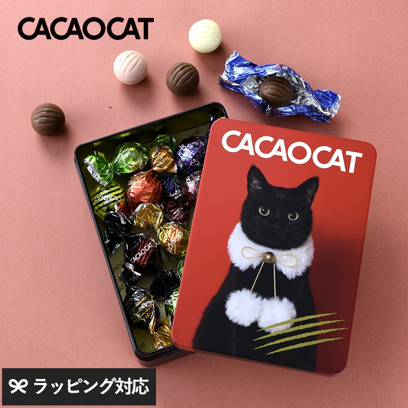 CACAOCAT カカオキャット ミックス缶 14個入り RED NR-03857 ボンボンショコラプレミアムチョコレート/アソート/ギフト プレゼント/北海道/クリスマス/バレンタイン/かわいい猫チョコ/ねこ/DADACA/