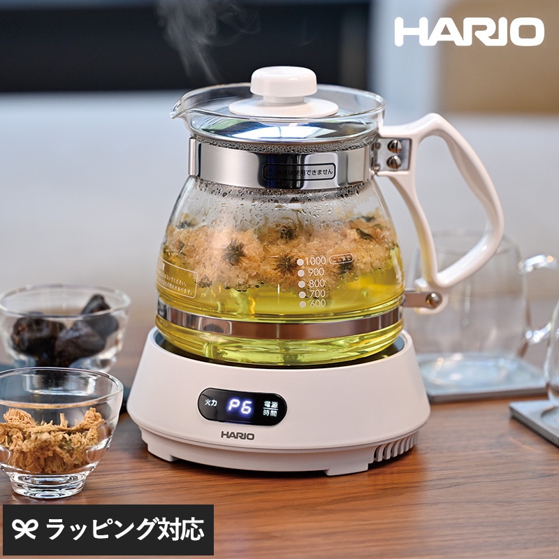 HARIO ハリオ  マイコン煎じ器 N NR-04027