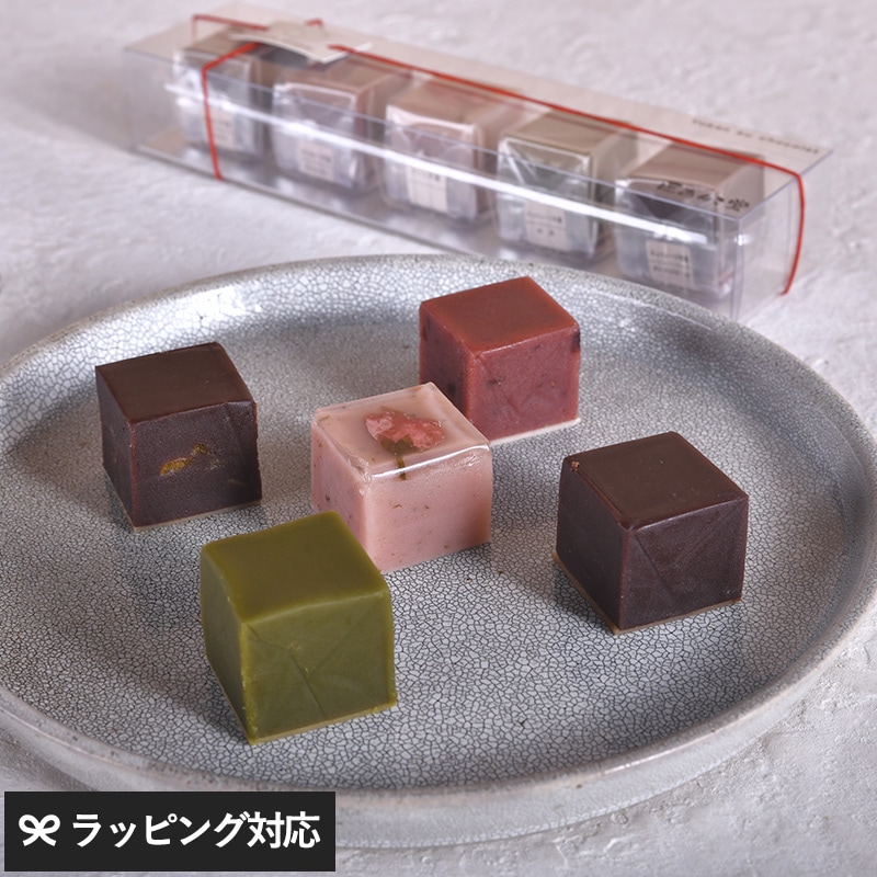 匠あんこ堂 ヨーカン・オ・ショコラ 5個入り NR-04980 スイーツ デザート和菓子/あんこスイーツ/羊羹/高級スイーツ/おしゃれ/ギフト 手土産/季節限定/和洋折衷/個包装/