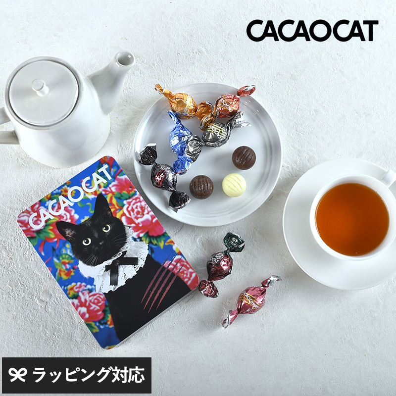 CACAOCAT カカオキャット ミックス缶 14個入り BLOOM NR-05077 ボンボンショコラアソート 詰め合わせ/チョコレート/北海道 日本/バレンタイン ホワイトデー/ギフト 贈り物/おしゃれ かわいい/猫デザイン/14個/CACAOCAT カカオキャット/