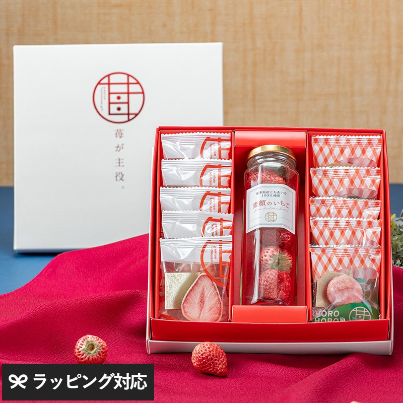 苺が主役 セレクションA NR-05068 スイーツいちご 苺/チョコ クッキー/贈り物 ギフト/とちあいか とちおとめ/いちご味 いちご菓子/かわいい/プレミアム/贅沢/お歳暮/