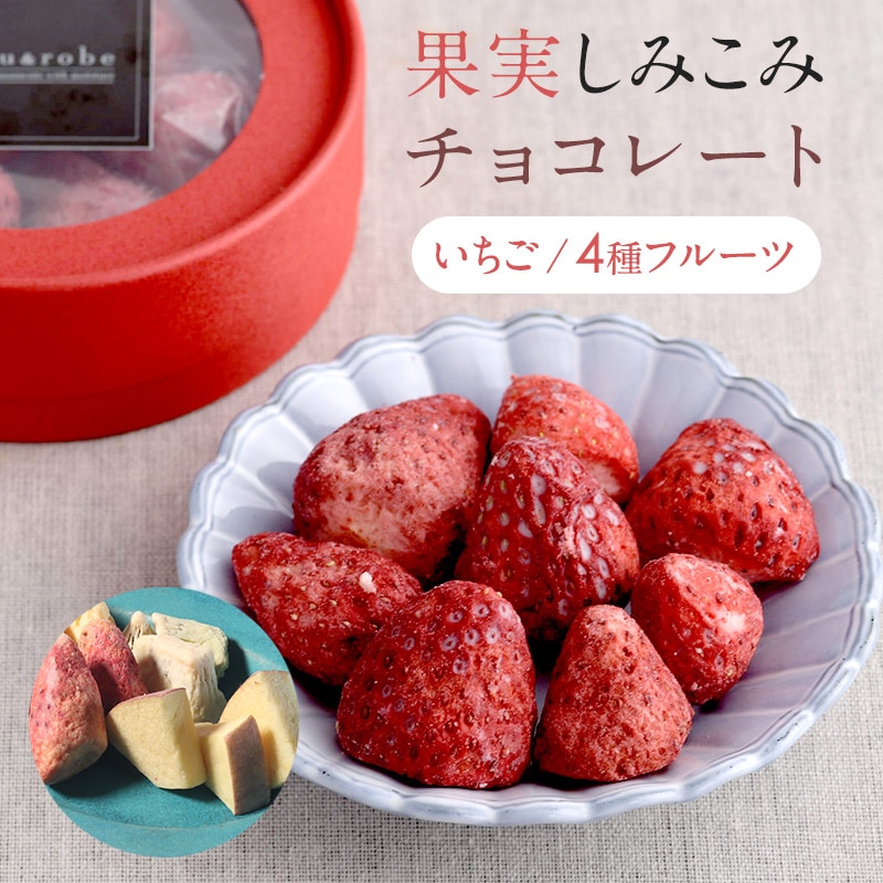 果実染込みチョコ NR-03766 染みチョコ 含浸 チョコレート/いちご 苺 イチゴ リンゴ りんご キウイ みかん/おしゃれ かわいい/ギフト 手土産/ホワイトチョコ/しみチョコ/果物/フリーズドライ/フルーツ /