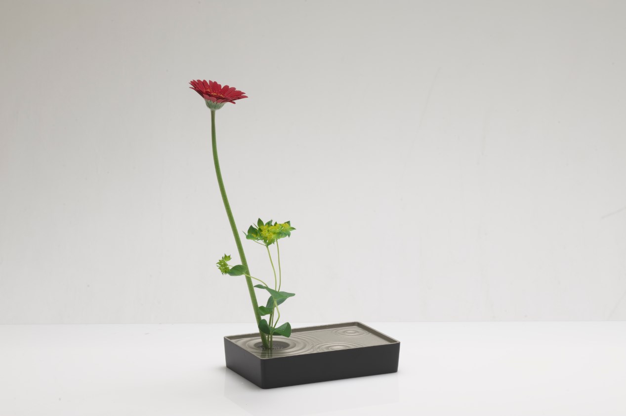 小さな水盤　雫影（しずか） S