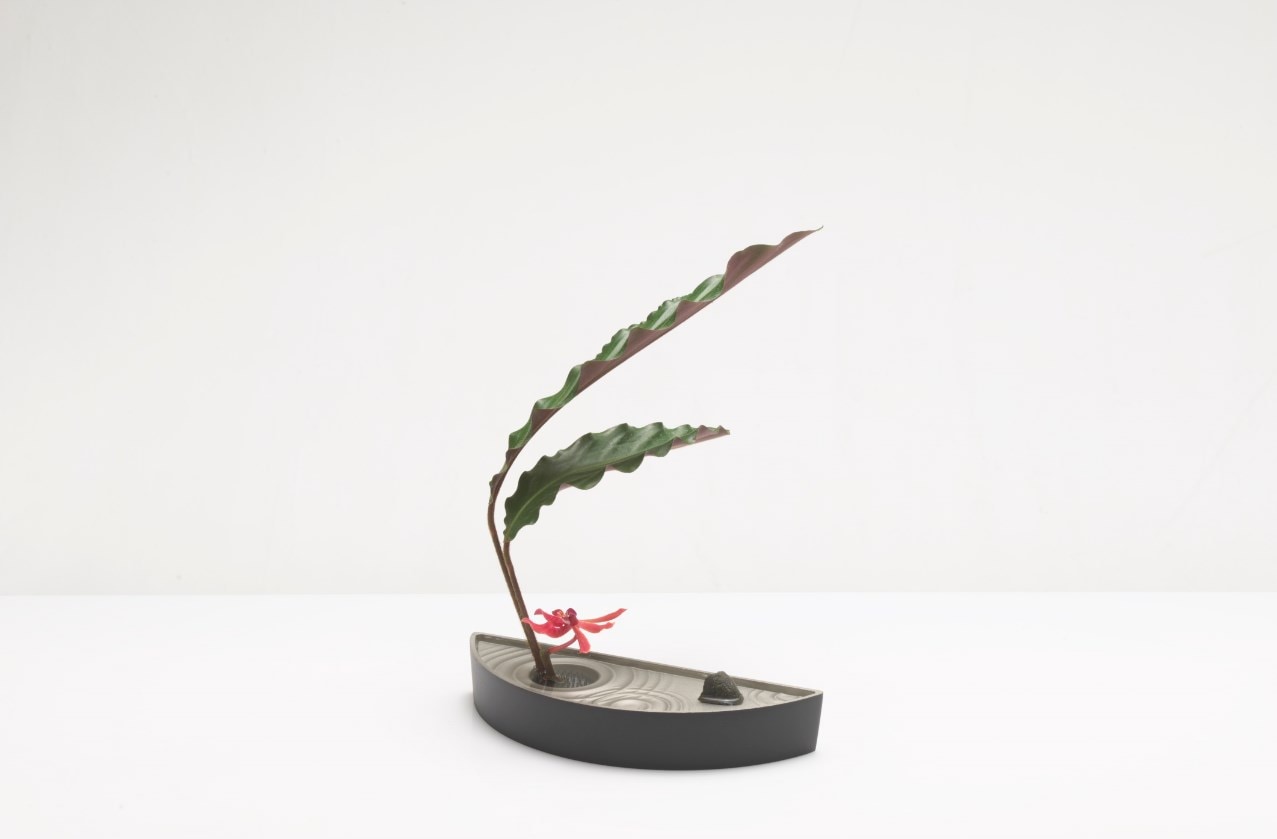 小さな水盤　雫影（しずか）  HANGETSU