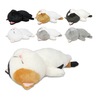 ぼうみたいなねこ ぬいぐるみ  ぼうねこ