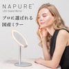 ナピュア LEDスタンドミラー 鏡 LED ライト 卓上